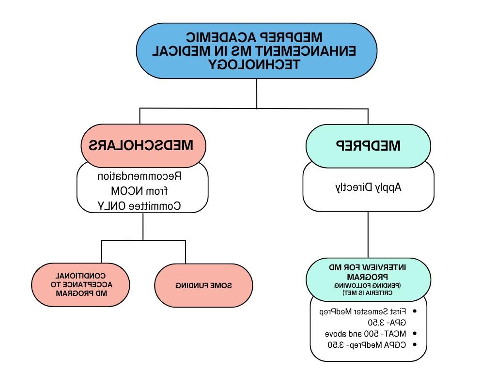 Med Scholars organizational chart - pathway.