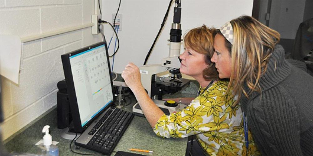 two ladies checking ? on computer